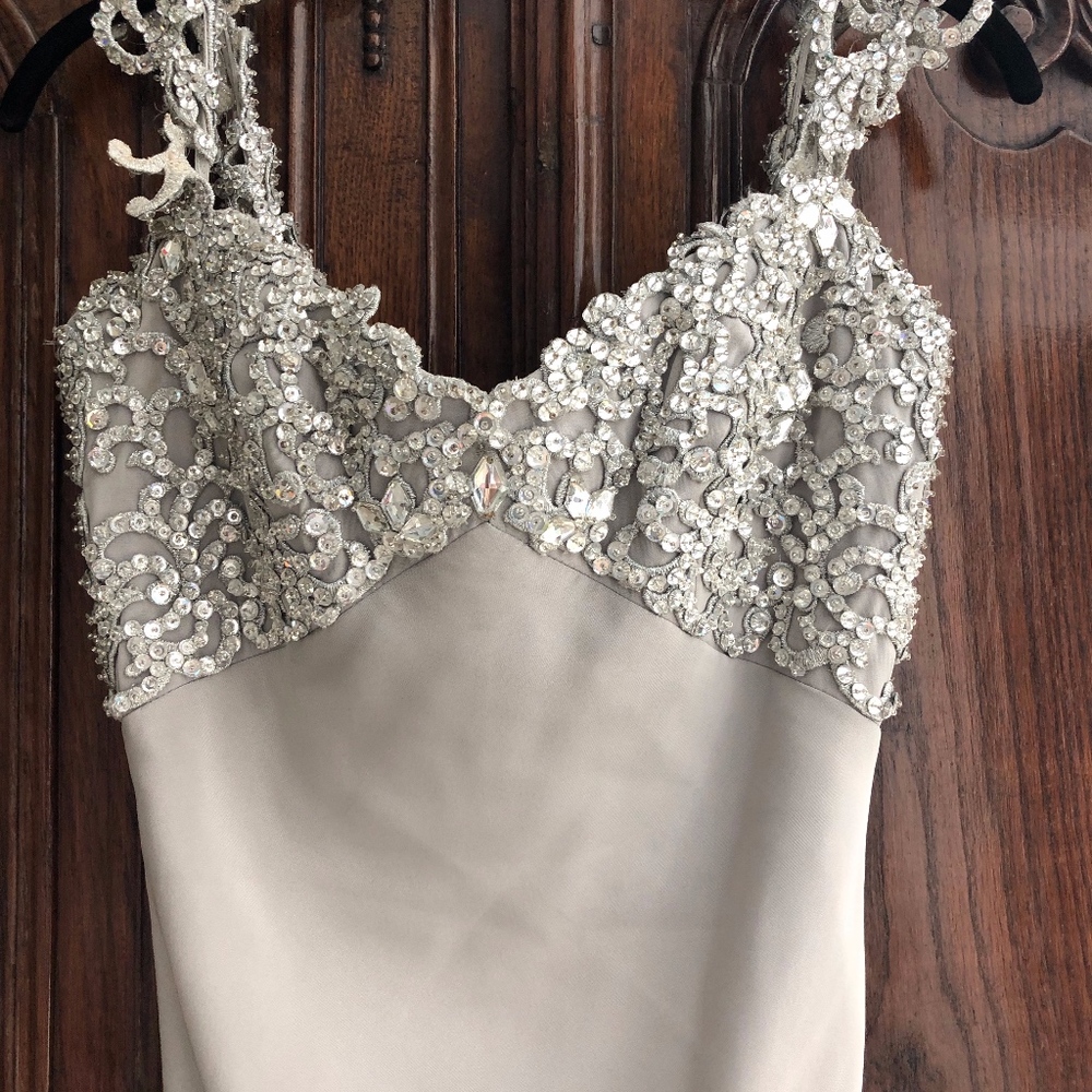 Evening dress (gown)